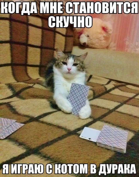 ��� ���� � ����� �� �� - 6 ������� 2014 � 16:41