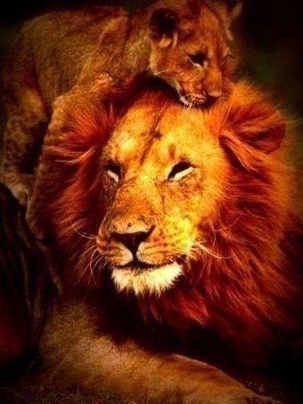 Подписывайтесь на нас: <a href=