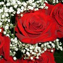 ���� ���, ������� - ��������� 26 ������� 2014 � ������ �������� ��� ��� �������