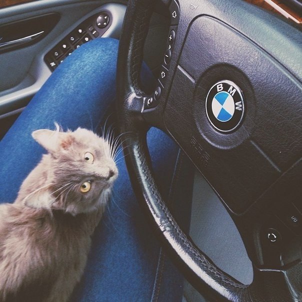 BMW | Mercedes | AUDI - 30  2014  22:34