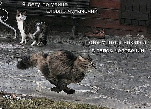       - 21  2014  18:03
