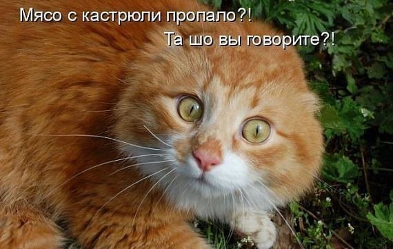       - 1  2014  16:31