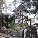 ���� ��������, ������������-�������� - ��������� 25 �������� 2014 � ������ ���� ����������