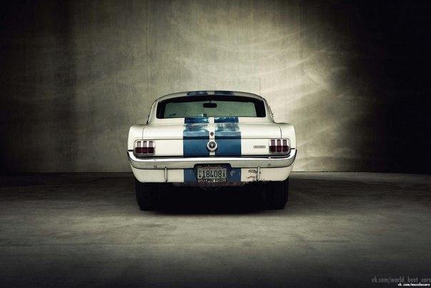 1965 Ford Shelby GT350 - 2