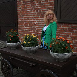 ������, ������, 49 ���