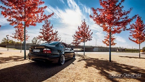 BMW 5 Series E39 - 3