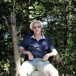 , 51 , 