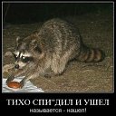 ���� ����., ������, 60 ��� - ��������� 10 ������� 2014 � ������ ������ ��������