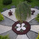 ���� �����, ������������, 55 ��� - ��������� 4 ������� 2014 � ������ ������������� �������