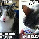 ���� �����, ������, 34 ���� - ��������� 27 �������� 2014 � ������ ������ ��������