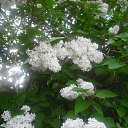  , , 60  -  28  2014     (    )