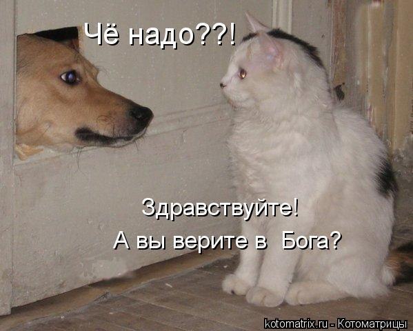  - 10  2014  17:04