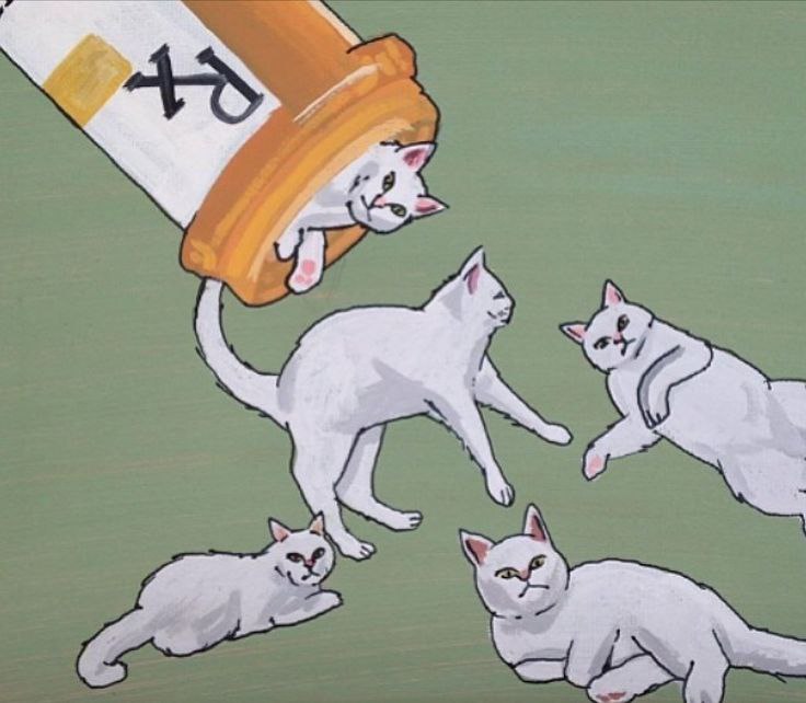 #art@catism.:    