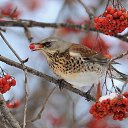 ���� ������, ������, 67 ��� - ��������� 28 ������ 2014 � ������ ������ ��������