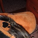 ���� ������, �����-���������, 70 ��� - ��������� 30 ������ 2014 � ������ ��������