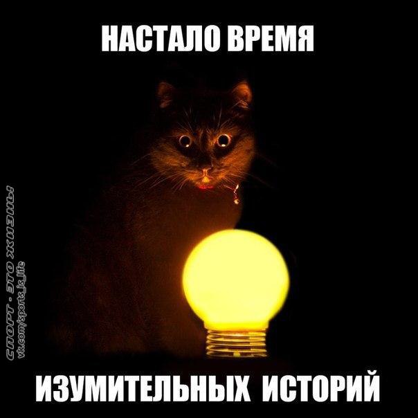 ,    ?