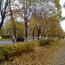 ..... �� ������� ���� ����������