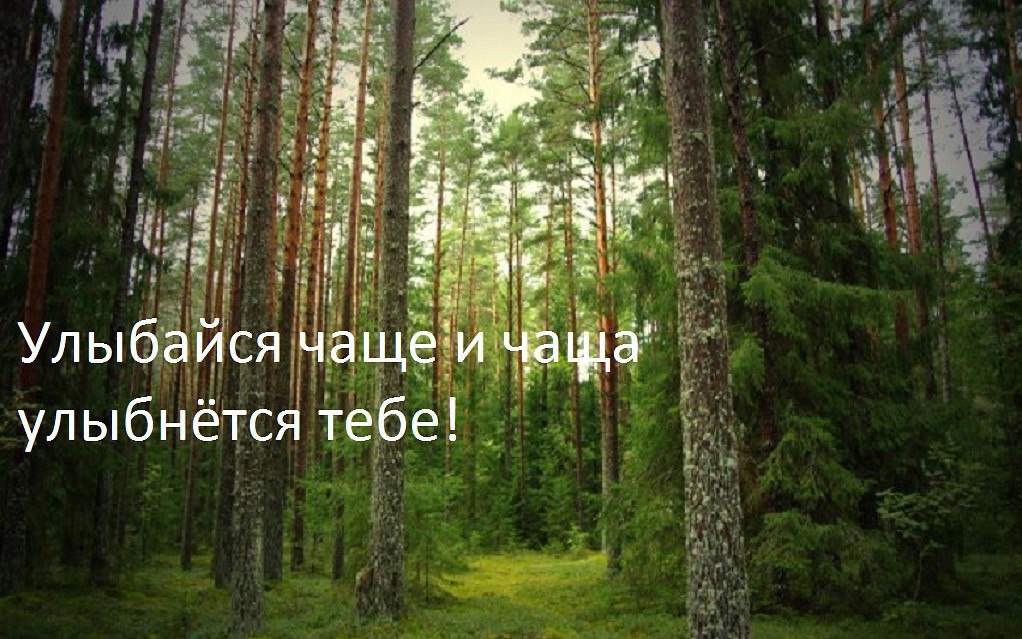  - 17  2014  21:50