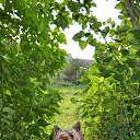 ��� ��� ����!