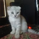 ���� Natali, ���������, 60 ��� - ��������� 9 �������� 2014 � ������ �������