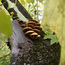 ���� �������, �����������, 60 ��� - ��������� 22 ������� 2014 � ������ ���� ����������