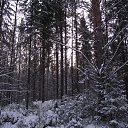 ���� ����������, ���������� - ��������� 4 ������� 2014