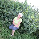  , , 52  -  24  2014   2014