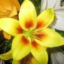 ������� �� ������� ���� ����������