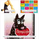 ���� �������, �����, 55 ��� - ��������� 16 ������ 2014 � ������ ������ ��������