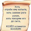 ���� ����, ���������, 33 ���� - ��������� 27 �������� 2014 � ������ ������ ��������