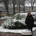 02.11.2014 �� ������� ����������, ������ 2014�