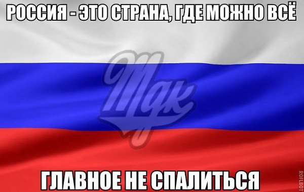 MDK - 15  2014  11:01