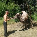 ���� ����, ��������, 35 ��� - ��������� 23 ������� 2014 � ������ �����