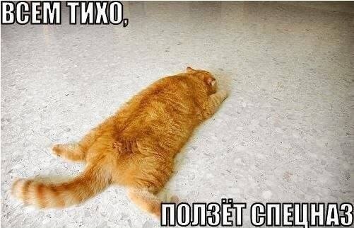   :-) - 11  2014  14:40