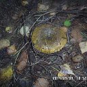 ���� ������, �������� - ��������� 17 �������� 2014 � ������ ������ � ��������!�