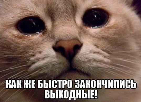      !  <a href=