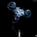 ���� ������, ���������, 37 ��� - ��������� 11 ������� 2014 � ������ ������ ��������