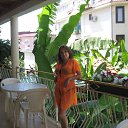 ���� �����, ������, 52 ���� - ��������� 31 ������� 2014 � ������ ���� ����������