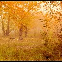 ���� ������, ������ ��������, 56 ��� - ��������� 28 �������� 2014 � ������ �������