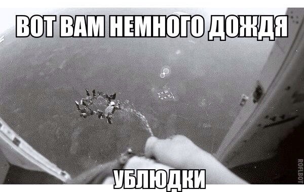    :D - 7  2014  13:37