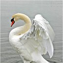 ���� �����, ��������� - ��������� 19 ������� 2014 � ������ ��� �� �����