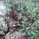 ���� ������, �����-���������, 70 ��� - ��������� 28 ������� 2014 � ������ ������ 2014�