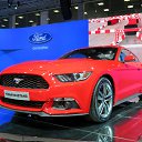 ���� �������, �����, 48 ��� - ��������� 19 ������� 2014 � ������ ����������� ����������
