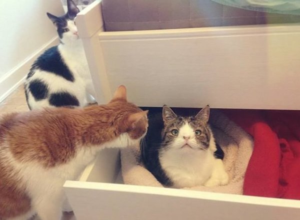 ,    ."    .      ... - 8