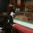 ���� ������, �����-���������, 46 ��� - ��������� 31 ������� 2014 � ������ ���� ����������