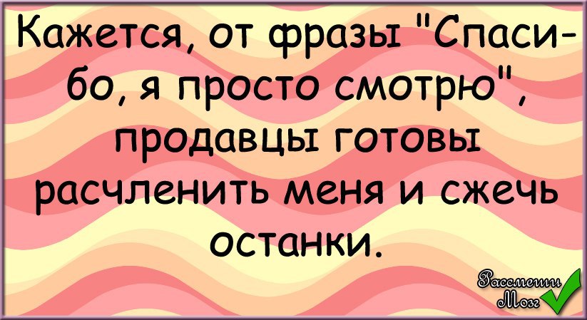 Красотаспасёт мир цитаты. Со смыслом про собак. Спасать цитата. Цитаты спасем. Цитаты о спасении животных людьми.