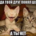 ���� �����, ���������, 48 ��� - ��������� 24 ������� 2014 � ������ ������ ��������
