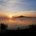  Ovod, , 50  -  31  2014   