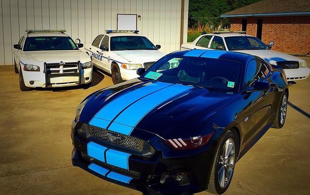 Ford Mustang GT Fastback - 3