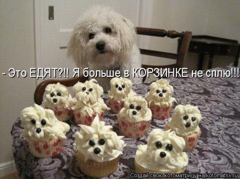 Тяжело всё-таки быть женщиной! Постоянно хочется чего-нибудь купить, кого-нибудь прибить, похудеть и ...